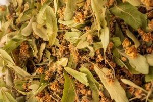 Τίλιο ανθός και φύλλα χύμα 30γρ