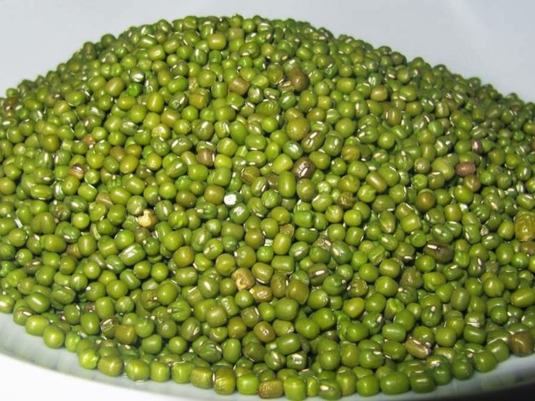 Φασόλια πράσινα (mung beans) εισαγωγής χύμα