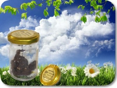 Πρόπολη ξερή Ταϋγέτου 25γρ