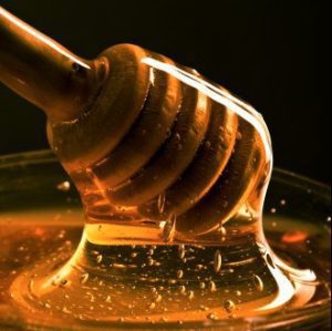 Μελισσοκομικά