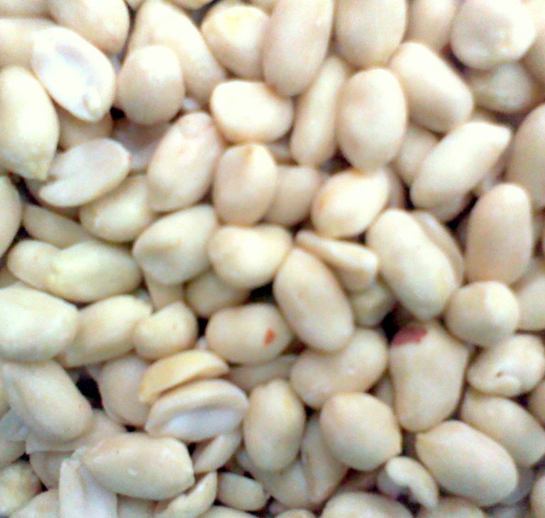 Φυστίκι peanuts Αργεντινής ωμό χύμα